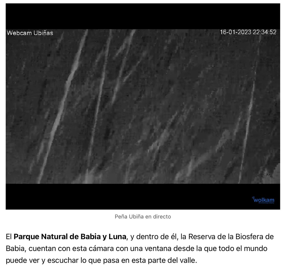 Babia_Net's tweet photo. Puedes seguir en directo las trazas de los copos de nieve en la webcam situada en el Parque Natural de Babia y Luna. #Babia #ParqueNaturaldeBabiayLuna #Leonesp #nieve 
https://t.co/Nzv9xnt4xV https://t.co/RZxSXJ1Uam