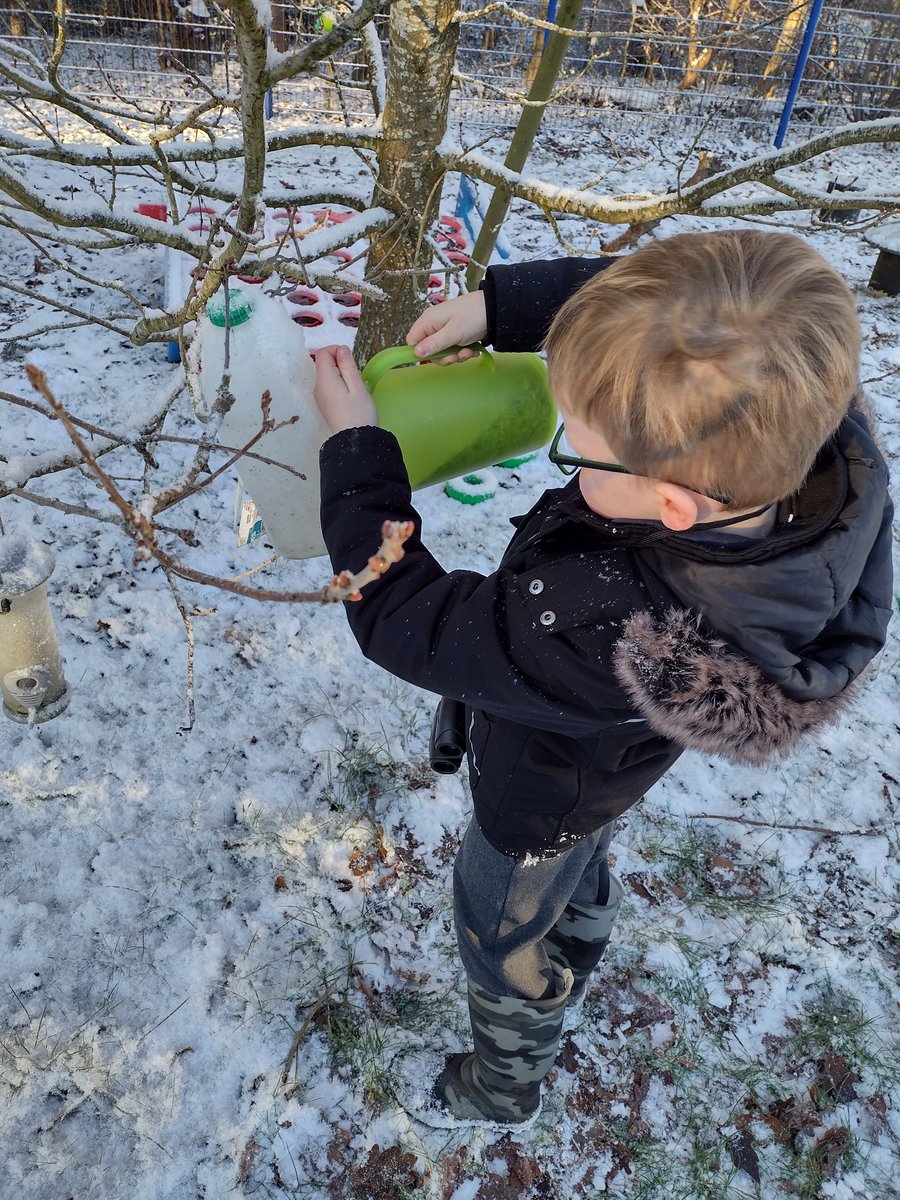 MrsSmithToday's tweet photo. P3/2 were helping to fill up some of the bird feeders today as we begin to learn about our garden birds. #BigGardenBirdWatch @livivillagePS https://t.co/9xkkYYRRuN