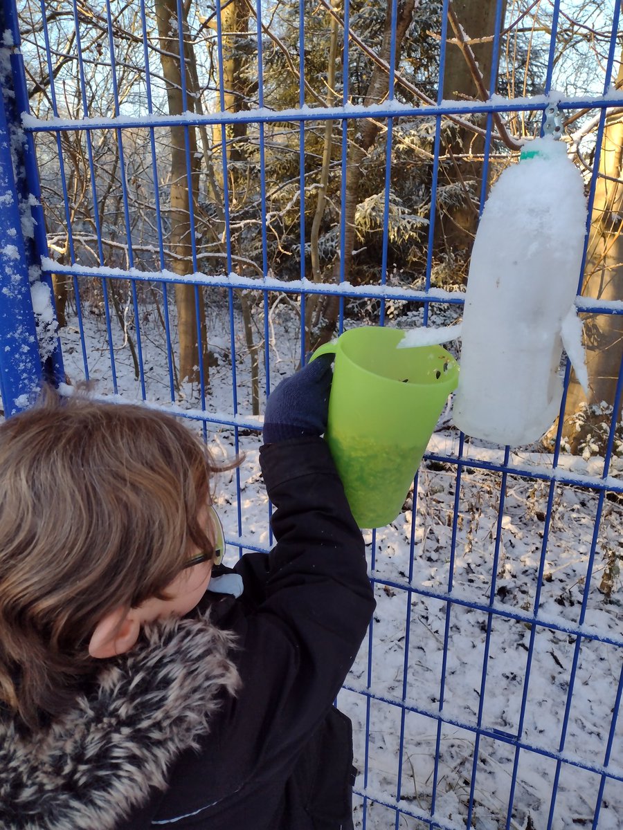 P3/2 were helping to fill up some of the bird feeders today as we begin to learn about our garden birds. #BigGardenBirdWatch <a href="/livivillagePS/">Livingston Village PS & ELC</a>