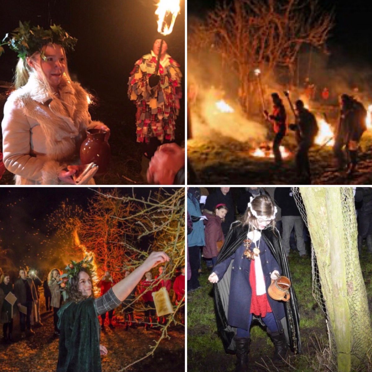 #Wassailing the apple trees traditionally occurs on Old Twelfth Night, 17th Jan. The Queen of the #Wassail (‘good health’) toasts the largest apple trees in the orchard with cider-soaked bread. The crowd then drinks to the trees’ health to ensure a good crop. #FairyTaleTuesday