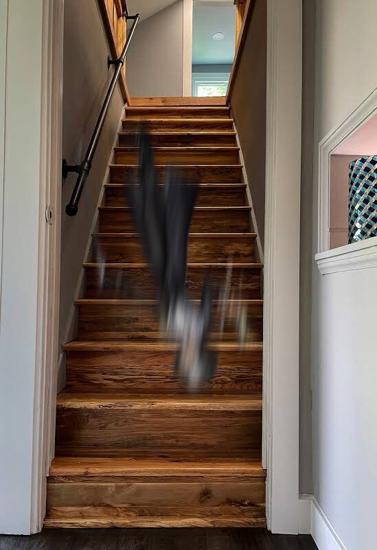 WhereIsDMrose's tweet photo. (I’m bringing this acc back one way or another)
DM should NOT be falling down his stairs https://t.co/rVjprIg3C0