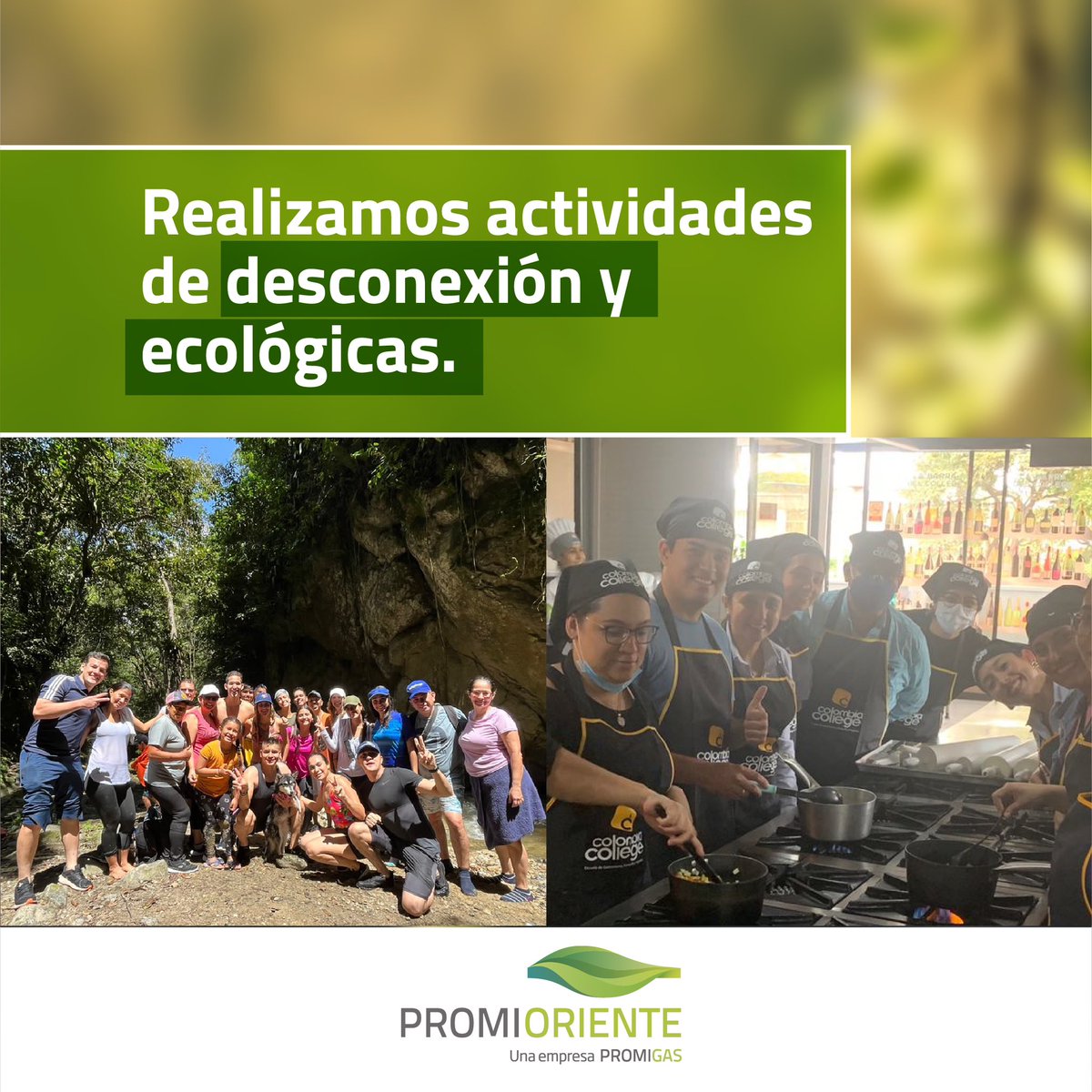 promioriente's tweet photo. Así motivamos a nuestros colaboradores a seguir llevando Energía que Impulsa Desarrollo.💚
#ColaboradoresPromioriente #Bienestar #Compromiso #Promioriente #EmpresasPromigas https://t.co/ufchqxX13b