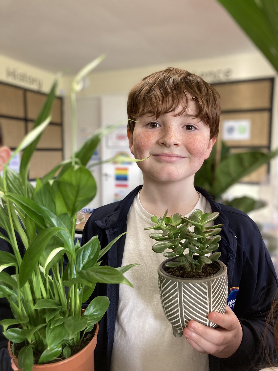 ShoresideYear3's tweet photo. This amazing school councillor has been teaching others the importance of well-being and the benefits of having plants in and around our school. Want to know more? Ask any school councillor! 
#bringtheoutsidein 
@Shoreside1234 
@MrPowerREMAT 
@MissKnipeREMAT 
@RainbowEduMAT 
@tes https://t.co/0d63t6sfbw