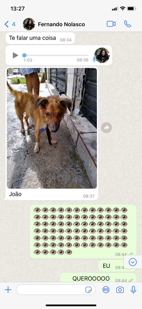 ren_nolasco's tweet photo. primeira interação // hoje
se foi de rua esse não se lembra https://t.co/UnzVZ2SSt3