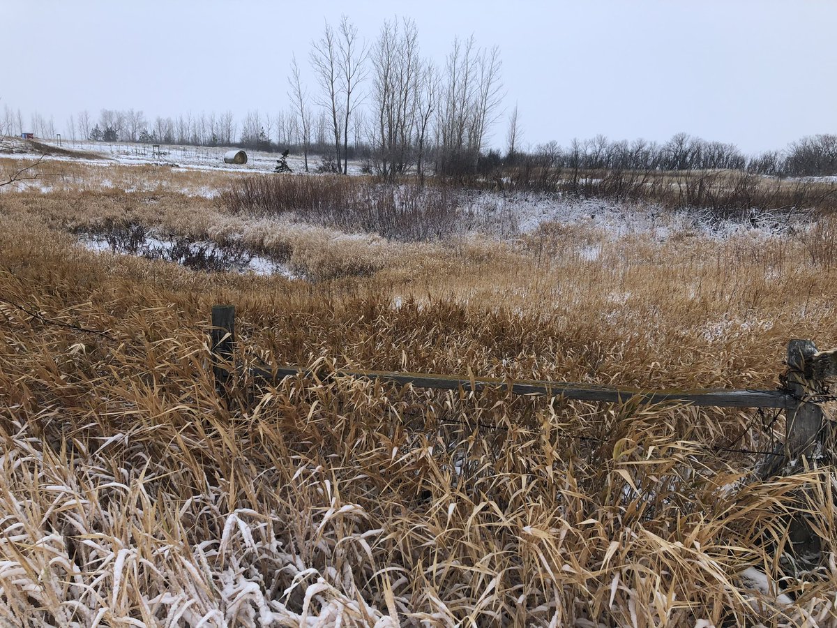 Jessy Lee Saas tweet media