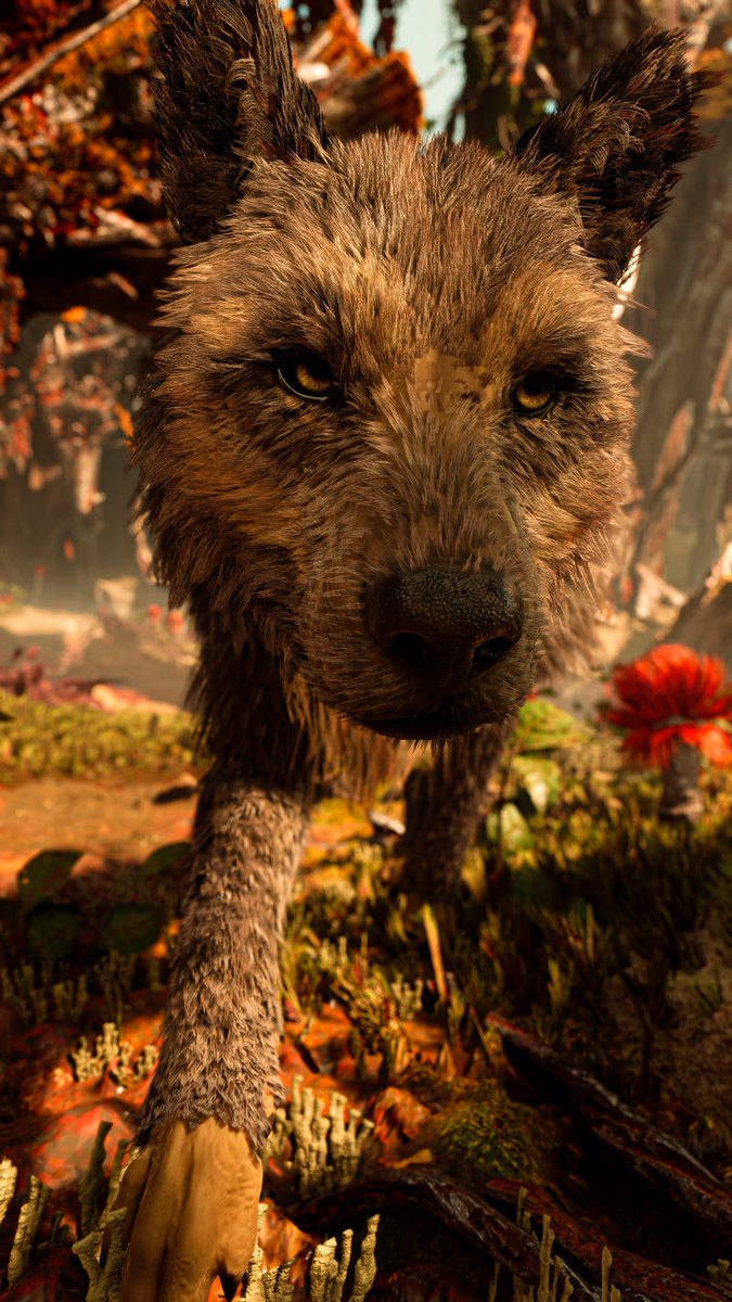 HazzaniVP's tweet photo. God of War Ragnarรถk
#AnimalMonday #UDLRFauna https://t.co/o2PTZxj4k7