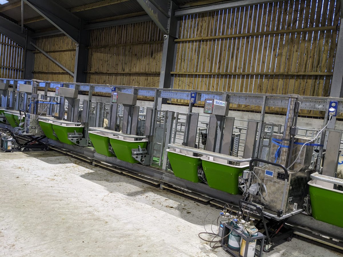 Jordana🌱🐮🐑☘ tweet media