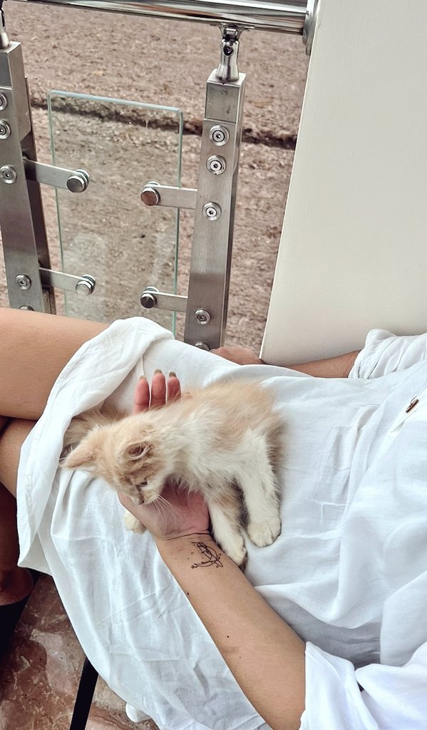 sadtruee tweet media