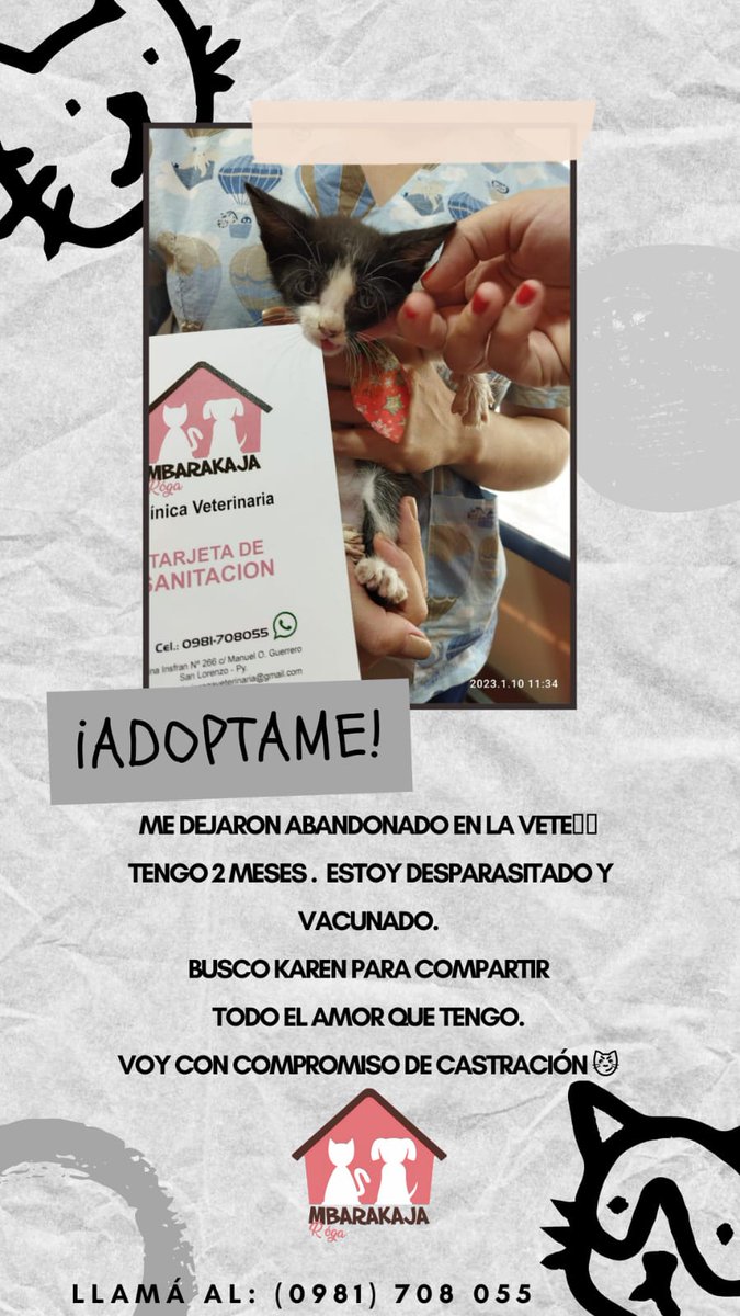 UrbietaBel's tweet photo. AYUDA https://t.co/h1mLNSp8Cz