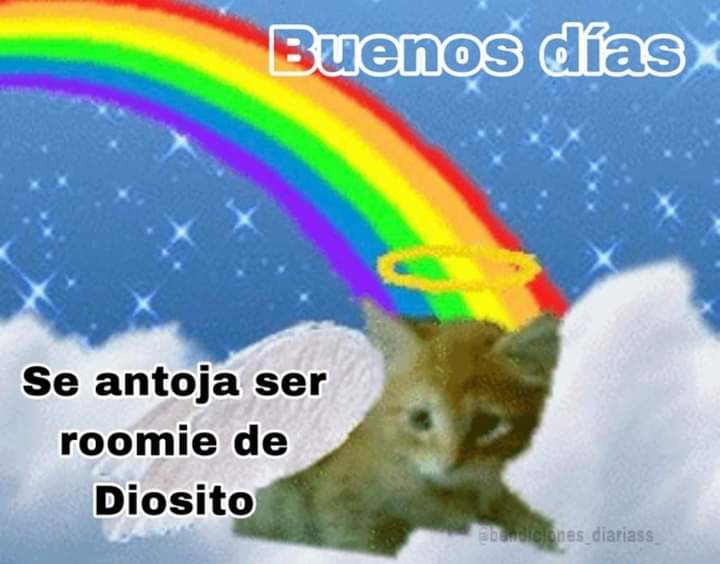 Nasty Poet (@nxstypxet) on Twitter photo 