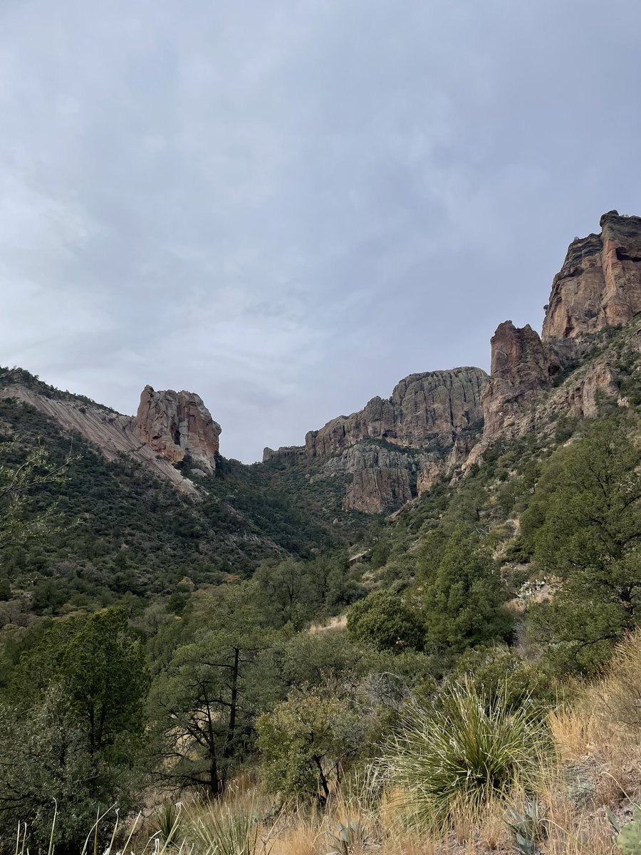 ZendyWalkWithMe's tweet photo. Some Big Bend pics from Dec. https://t.co/hYbDSnfKQ6