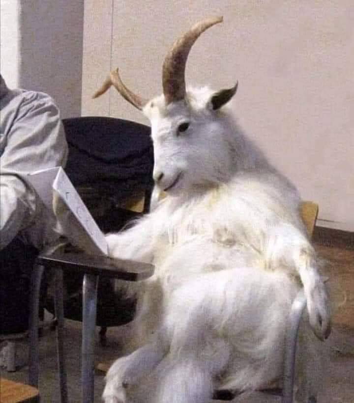 yo cuando iba al catecismo: