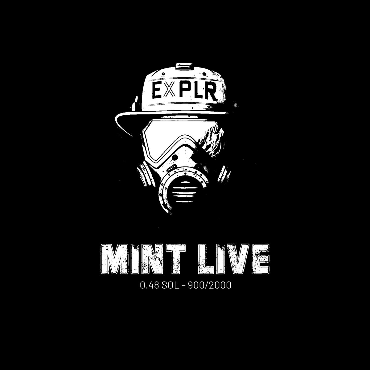 The Explorer | MINT LIVE! tweet media