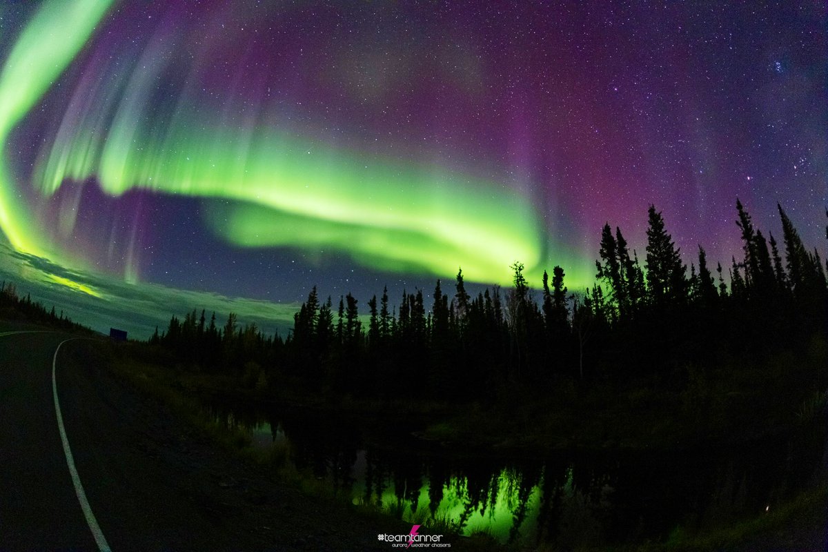 Beautiful curtains of #Aurora last September in Yellowknife #NWT #teamtanner #northernlights #Auroraborealis <a href="/dartanner/">Dar Tanner</a>