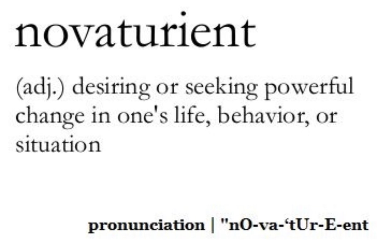 TPhillipsWriter's tweet photo. Day three. No signs of the legendary lexicon becoming my friend. @MerriamWebster if it weren’t for you nothing would be written. Thank you for existing. #followtom #wordsmatter https://t.co/XJI1B6HxHz