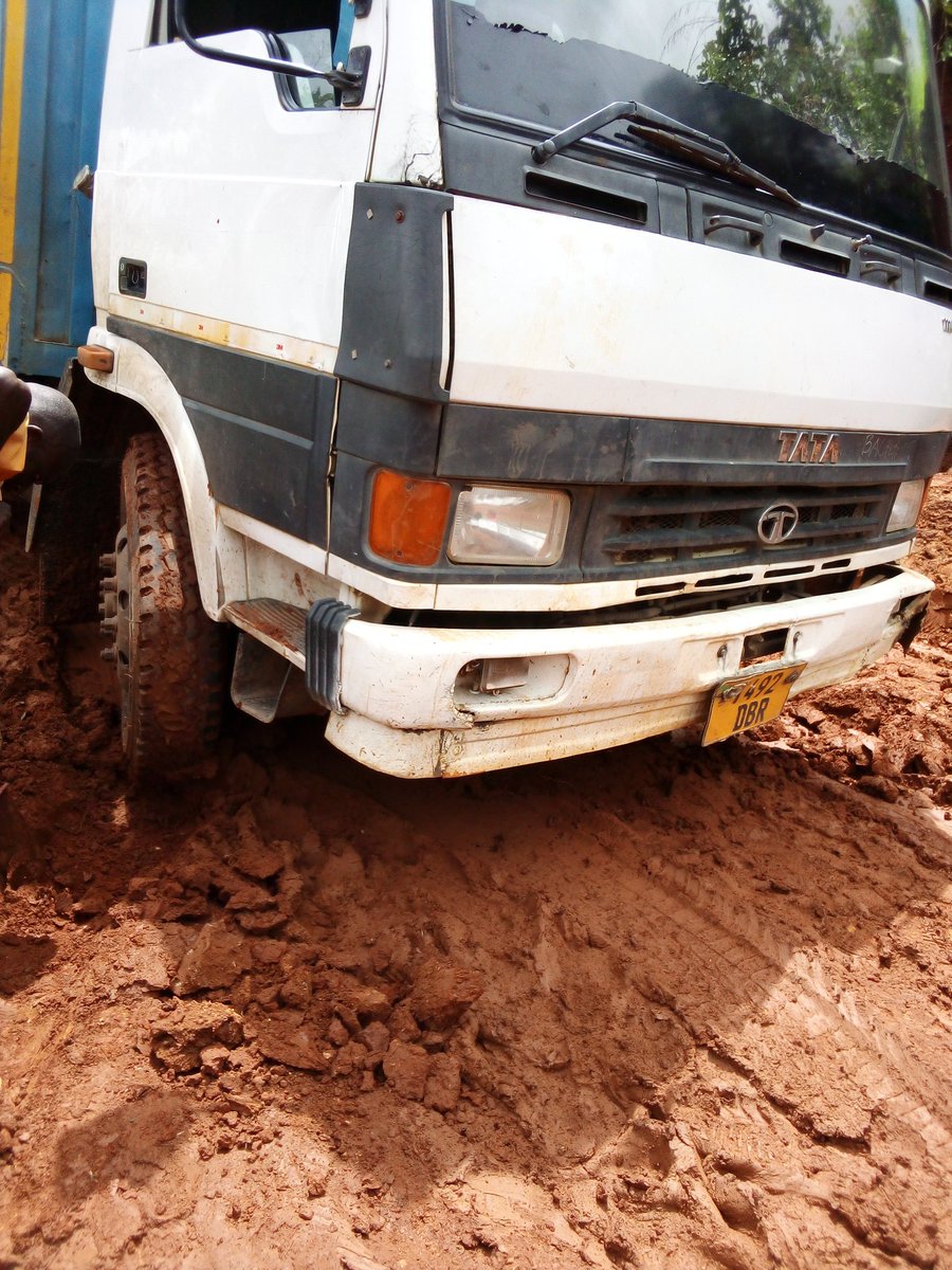 Field Challenges.... 📍Matili - Mbinga
When you buy an Avocado just know it's worth every penny 🥑