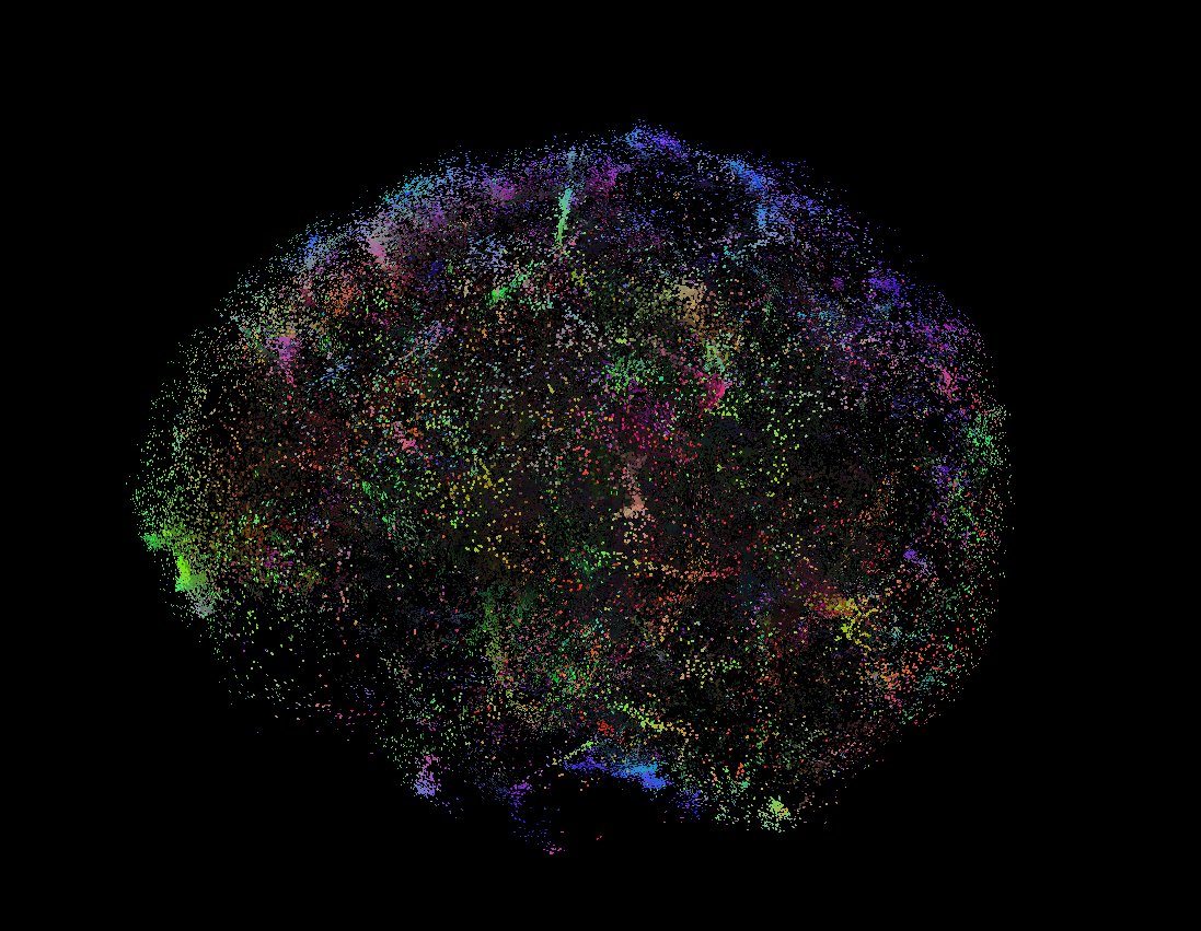 Concurso #PINTacoteca de #Pint23ES que se celebra del 22 al 24 de Mayo de 2023!

La tractografía nos permite obtener información de la estructura de la sustancia blanca in vivo de forma segura. Aquí podéis ver mi cerebro y una proyección de dichos tractos.

<a href="/pintofscienceES/">Pint of Science ES</a>