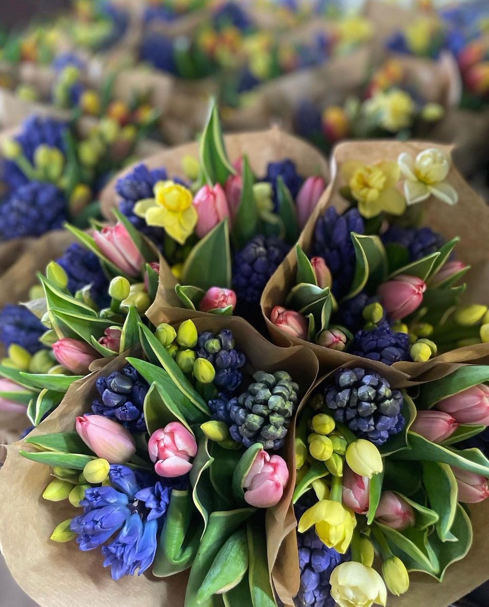 We absolutely love waking up to that beautiful aroma of fresh flowers every morning. That’s why this Saturday and every Saturday following at Brook Green Market we’ll be welcoming ‘Stevns of Sibsey’ who have the most perfect selection of flowers and plants to meet your desires.