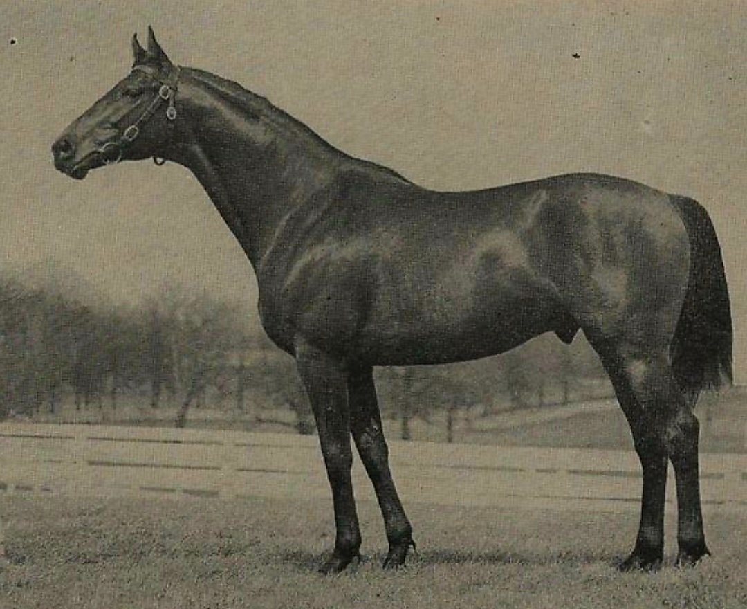 HORSERACING1002's tweet photo. BOYAR 🇺🇸 1961
(PRINCEQUILLO - BEE MAC BY WAR ADMIRAL) #Boyar
B/O King Ranch (KY) Apr 28, 1961
33-4-6-2---$19,615
Thistledown H.
Stood at King Ranch, Little Blue Sette, Lyle, Manado, Well Meaning, etc. https://t.co/yAB4wWfOGB