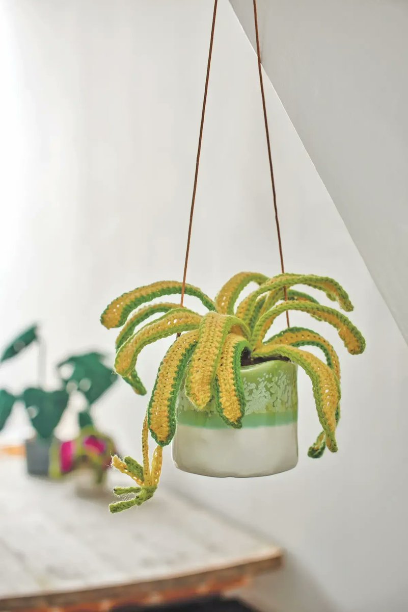 CreateWhimsy's tweet photo. Enjoy houseplants that you never need to water! Emma Varnam designs crocheted plants using basic crochet stitches.  @GMCbooks @emmavarnam 

Spotlight: Emma Varnam, Crochet Designer https://t.co/t1RJvKt68N https://t.co/pKbsjM6pJG