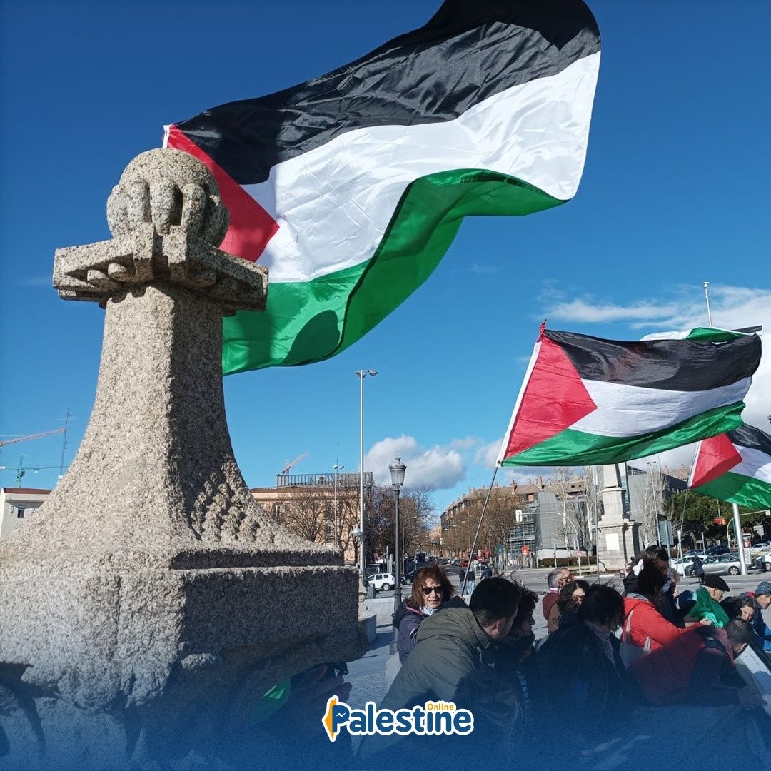 Palestine supporters marched in Madrid in solidarity with the Palestinian people and their struggle for freedom and justice.