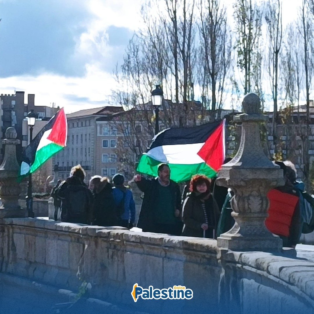 OnlinePalEng's tweet photo. Palestine supporters marched in Madrid in solidarity with the Palestinian people and their struggle for freedom and justice. https://t.co/QiKq4b41Tt