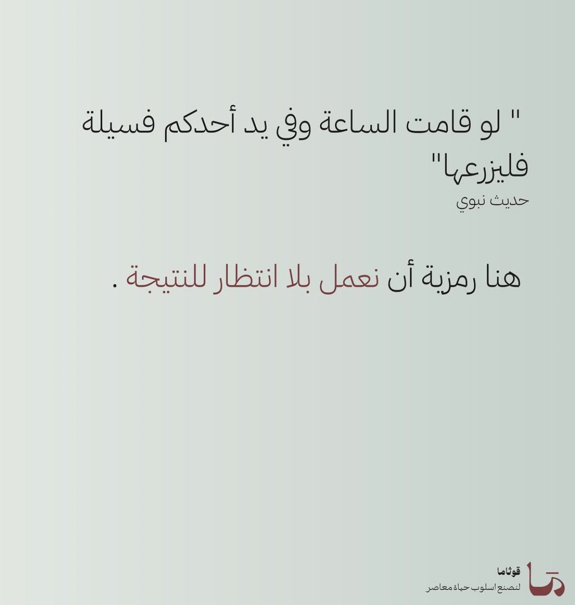 hadeelkhalid19's tweet photo. https://t.co/OG9y7qnVY6
