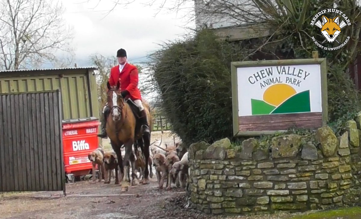 mendiphuntsabs's tweet photo. HOUNDS RAMPAGE THROUGH LOCAL ZOO
Mendip Farmers Hunt, Chew Magna. Saturday 14th January 2023 
The Mendip Farmers Hunt hounds rampaged through Chew Valley Animal Park on Saturday afternoon. The zoo owner described to us how the hounds were in cry and jumping into animal (1/12) https://t.co/xmZoXSf7Vv