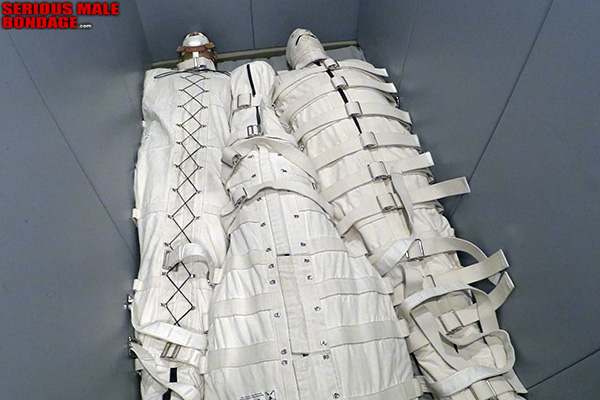 SeriousMaleBondage tweet media
