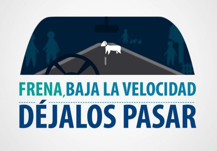Educación Vial:
📌Tener mucha precaución con los animales que se encuentran en la vía. Cuida su vida y la tuya.
#Azucareros
#HazloBien 
#Tranzmec 
#TranzmecEnMarcha 
#VíaALaVida