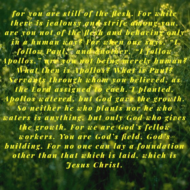 JTShehan1's tweet image. In the #doctrinaldebates and division regarding #Calvinism #Arminianism #Thomism etc. are futile and fleshly. 1 Corinthians 3 (partly below) warns us against division based on personalities and teachings, instead focus on Christ. Romans 14 also guides us in this regard. #Bible