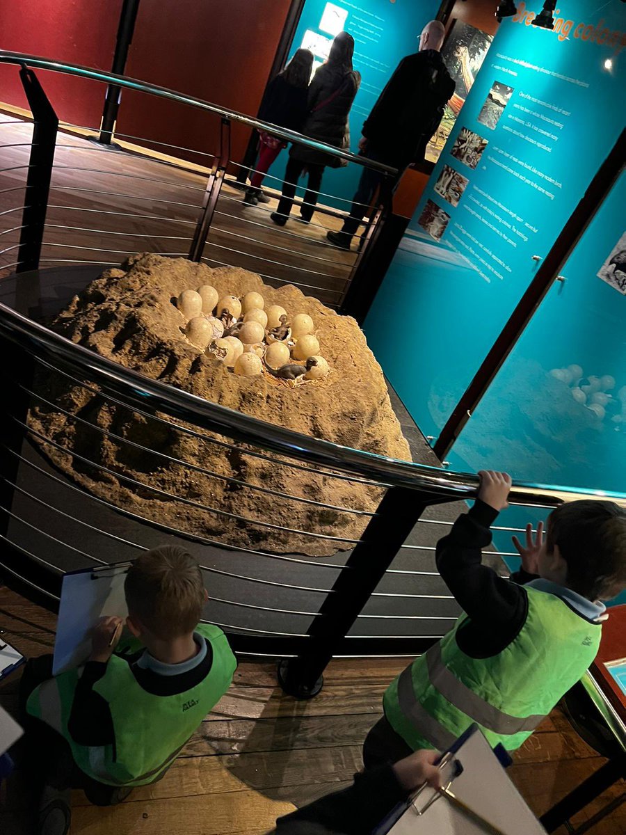 HalsteadCPS's tweet photo. Buds had a fabulous time at the Natural History Museum as part of their Dinosaur Topic. #Halstead #SafeHappyLearning https://t.co/zfZyW7wwQY
