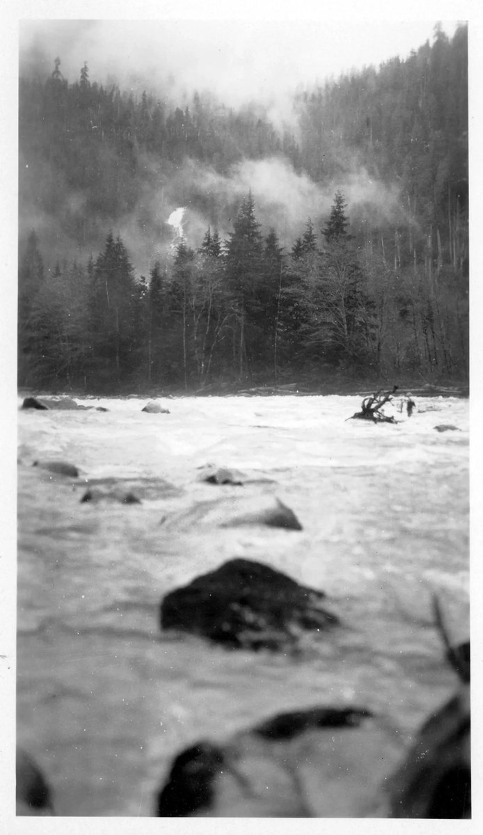 Happy #MuseumMonday ! Wow! Take a look of this view from the Alouette River! This photo was taken in the 1920's before the Alouette Dam was built in 1926. 
(P08002)
#MapleRidgeMuseum #MRMuseum #MRM #Alouette #Allco #MapleRidge #MapleRidgeBC #BCMuseums #BCHeritage #BCHistory