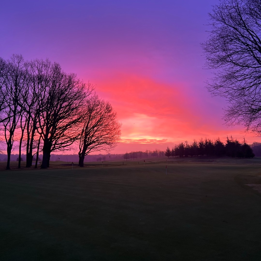 golfatthegrove's tweet photo. A beautiful start to the day whilst our incredible greenkeepers are hard at work 🌅 https://t.co/UFJgu67IcR