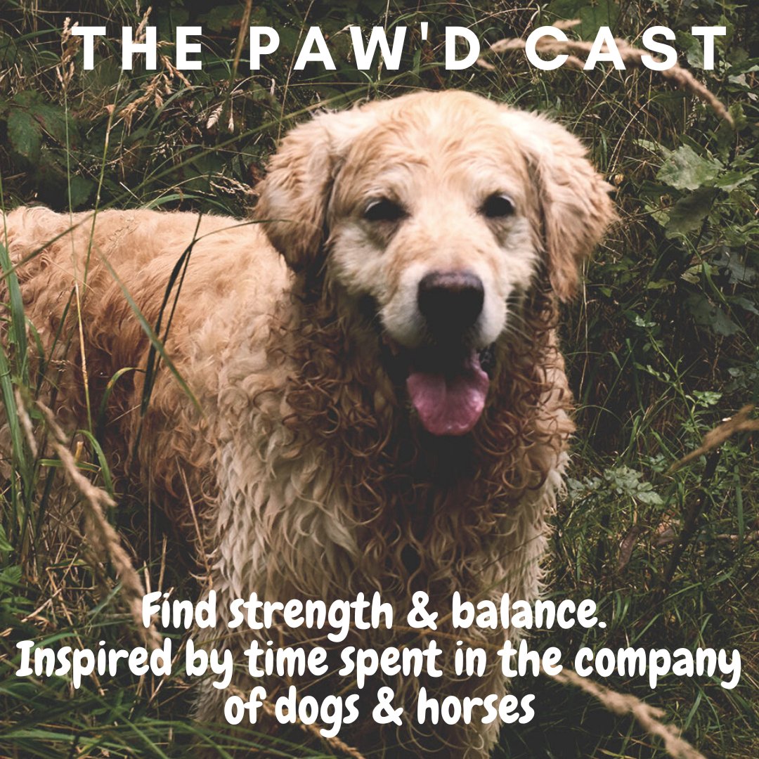 The Paw'd Cast - let me know what you think. I go straight to the heart of the matter, plastic poo bags littering our countryside...WHY!

Let's start the debate using #flickapoo
Share if you agree

ow.ly/PxV750MrUlz

#dogpoo #countryside #fickapoo