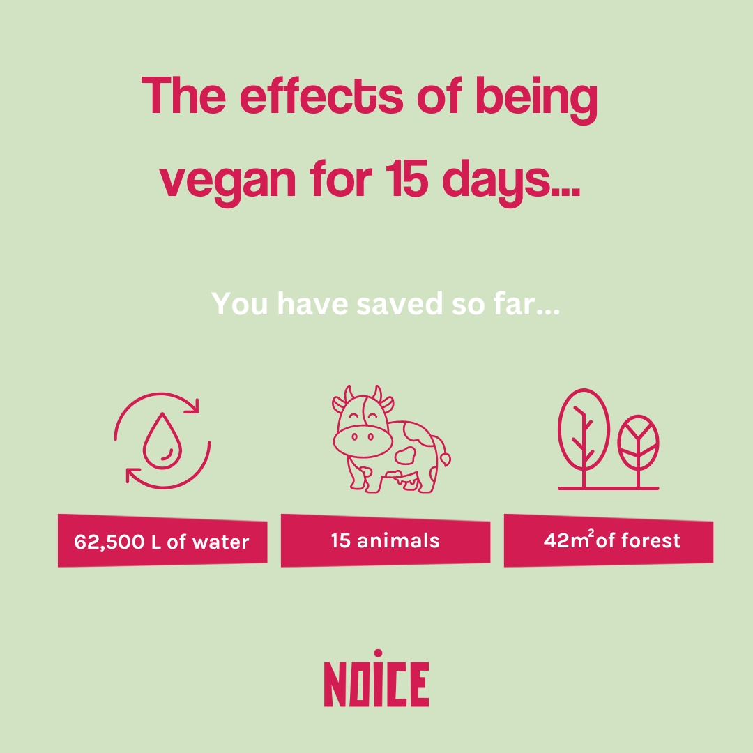 NOICE Botanical Toothpaste tweet media