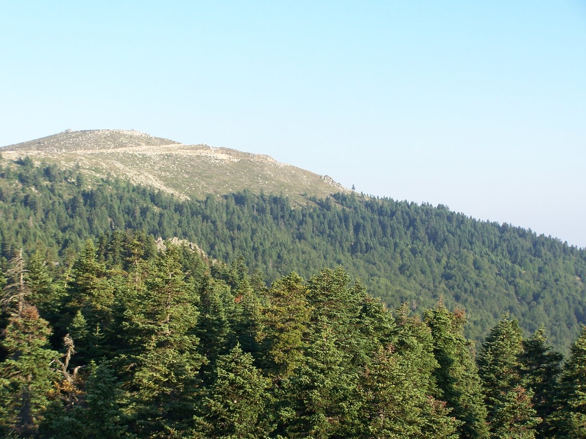 Alpin çayırları, buzul gölleri, Meşe, kestane, kayın, karaçam, endemik Uludağ göknarı, Apollon kelebeği, sakallı akbabası ve daha yüzlercesiyle Uludağ'ın tamamı milli park olmalıdır, alan başkanlığı değil #UludağdanEliniÇek
