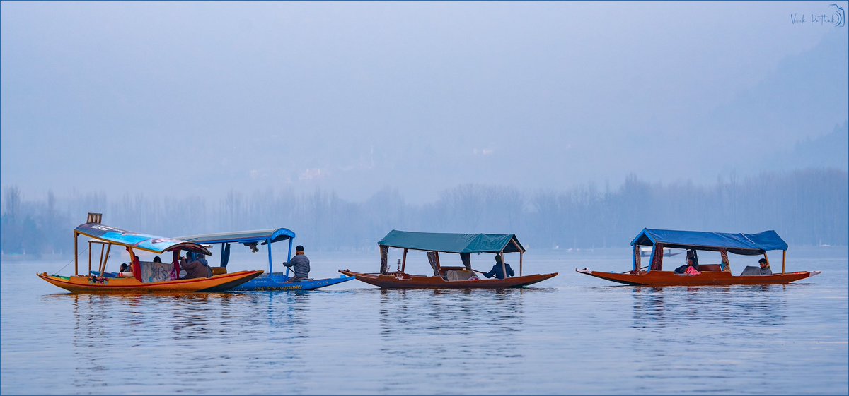 pafcoms's tweet photo. #Shikara are the inhabitant part of #DalLake
#Dawn 🧡
#dpeg
#NikonPhotography by #VivekPathak
#NikonD750 Nikkor 70-200 1:2.8mmE FL ED
#ILoveNikon
@NikonIndia #nikon
#photography #photo #photographer
#Srinagar #Kashmir #JammuKashmir
#WINTER #freezing #phototourswithaditi https://t.co/BbSz5fq8Fx