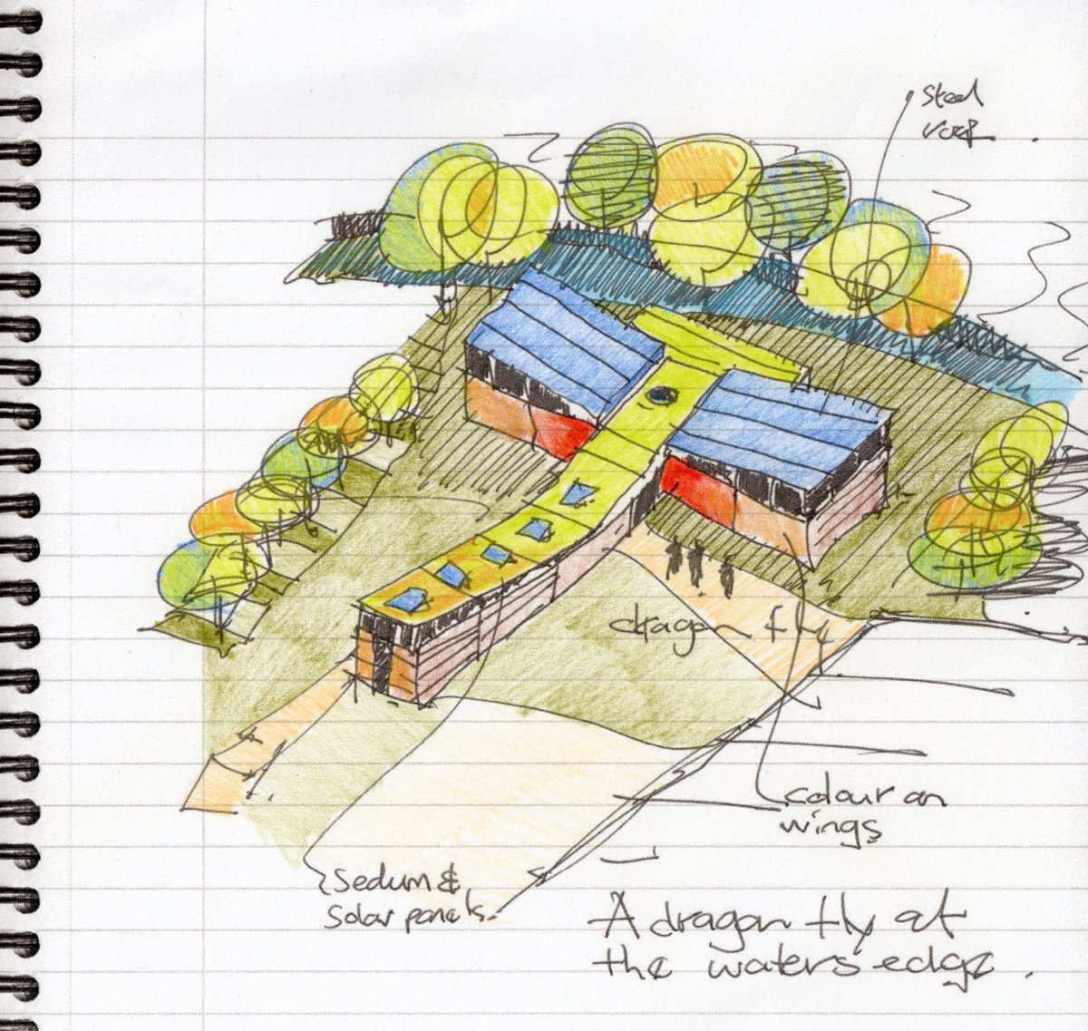 School sketch by Shape Architecture a dragonfly at the ricers edge in Kent #drawing #schooldesign #greenschools #sedumroof #dragonfly