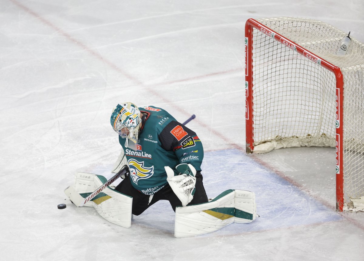Nottingham Panthers tweet media