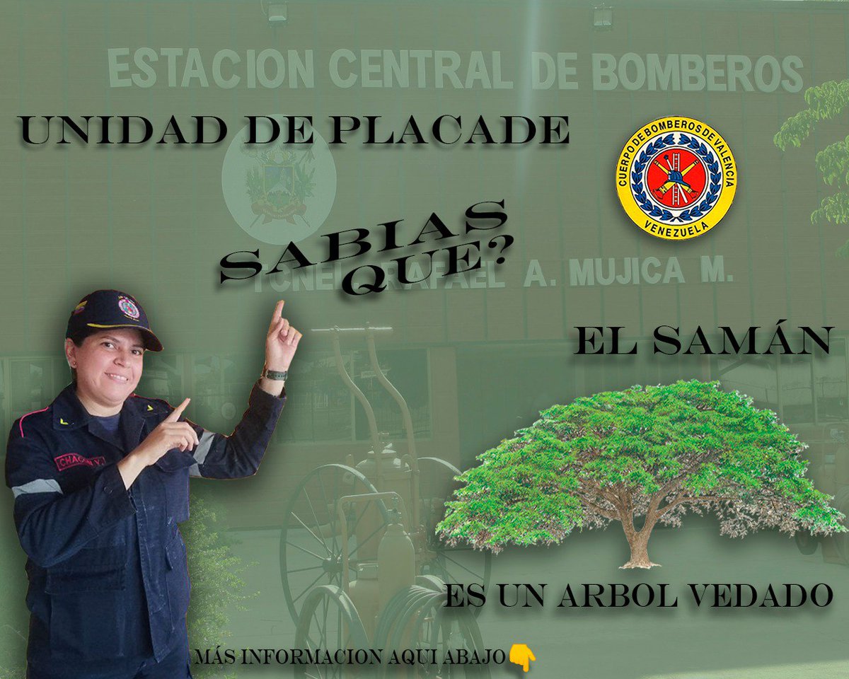 Los Árboles Vedados son aquellos protegidos por el Estado como lo contempla  la Gaceta Oficial de la República Bolivariana de Venezuela Numero 346.321, bajo Resolución 217 

@jcfuenmayor 
@alc_valencia