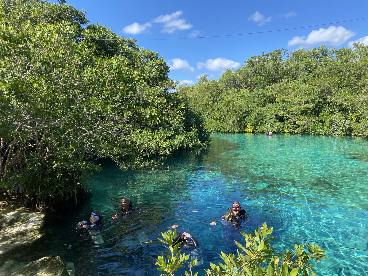 Snorkeling in Casa Cenote in Tulum.
