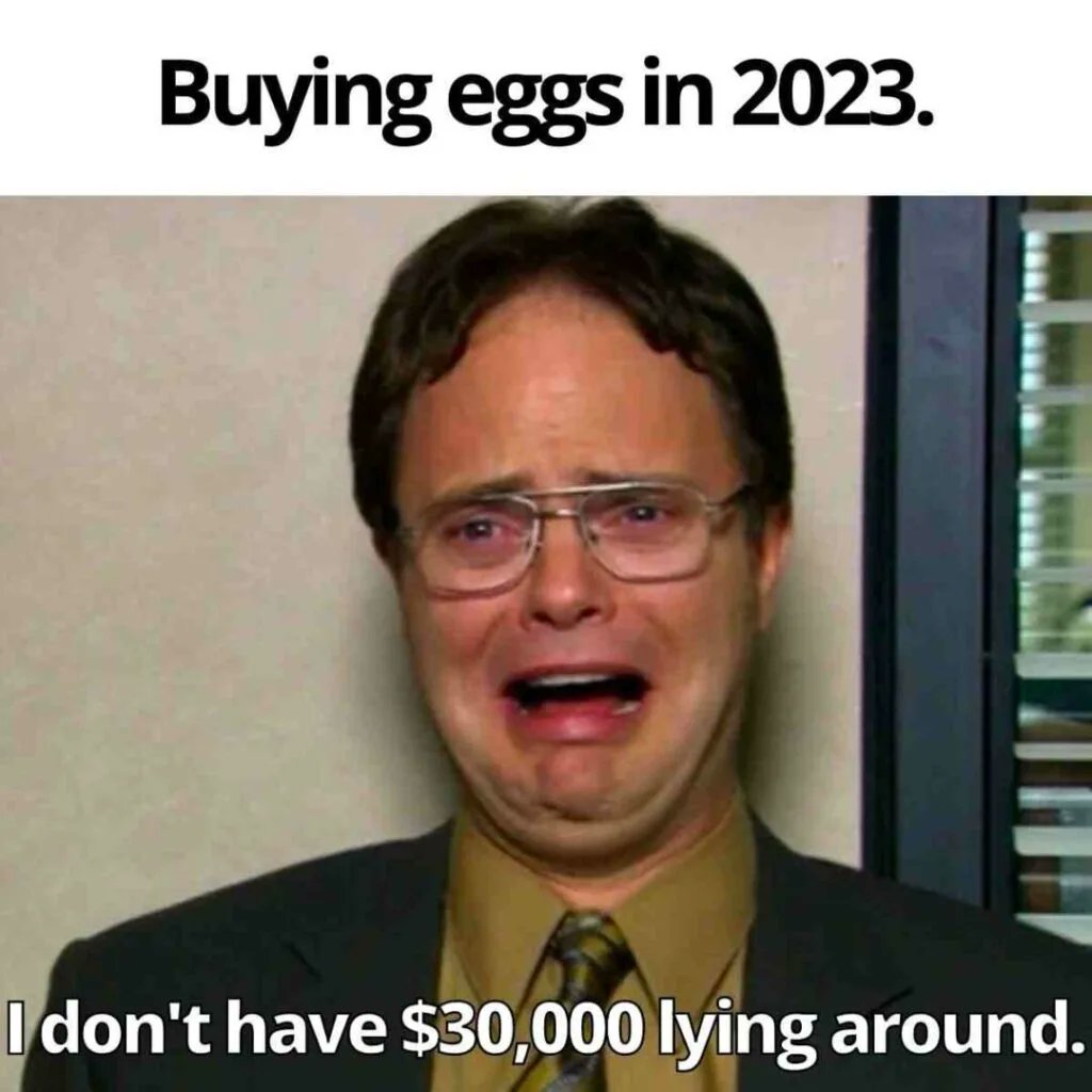 DogenerateDC's tweet photo. @jpegprez Get some $EGGS before the prices explodes @EggsERC 

#Ethereum #Ether #Stockmarket #StocksToBuy #cryptocurrencies https://t.co/qkht39NE6z