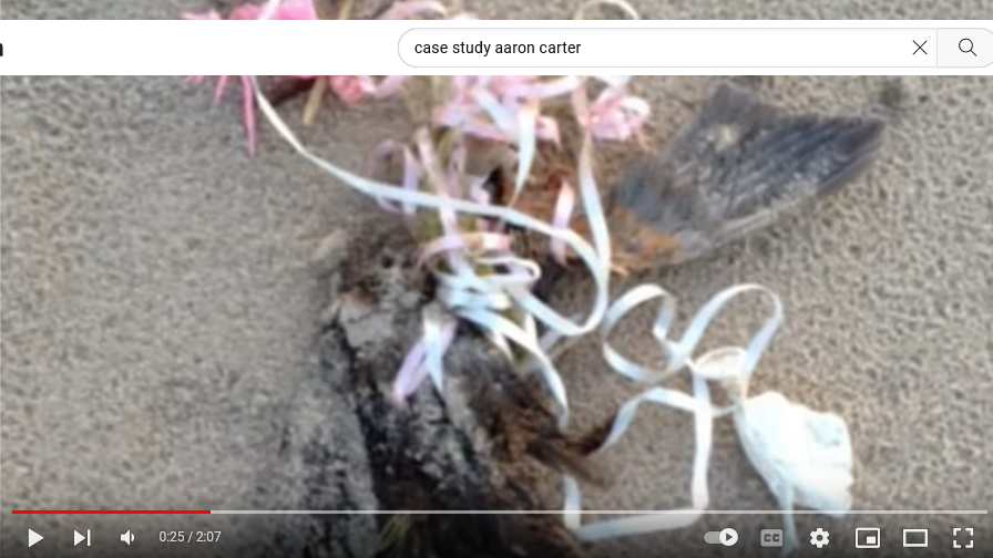 butler_che's tweet photo. Scott's back. Vid on YT posted 11PM, sent to my recommendations 10 mins later. Screen shots b/c he'll likely take vid down quickly. Please ensure Tiff &amp; Dara receive, was unable to tag them. @aaroncarter @aaroncharlescarter https://t.co/q1R02YBnCy