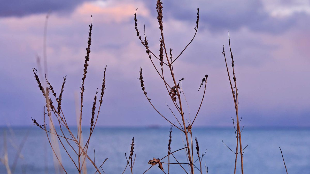 Research – Toronto Metropolitan University tweet media