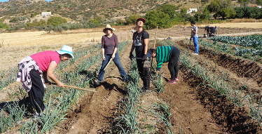 Madrid Agroecológico tweet media