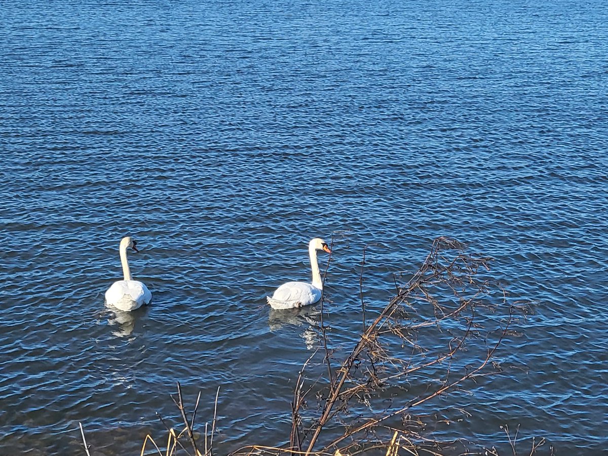 Tammy Anne Duffy tweet media