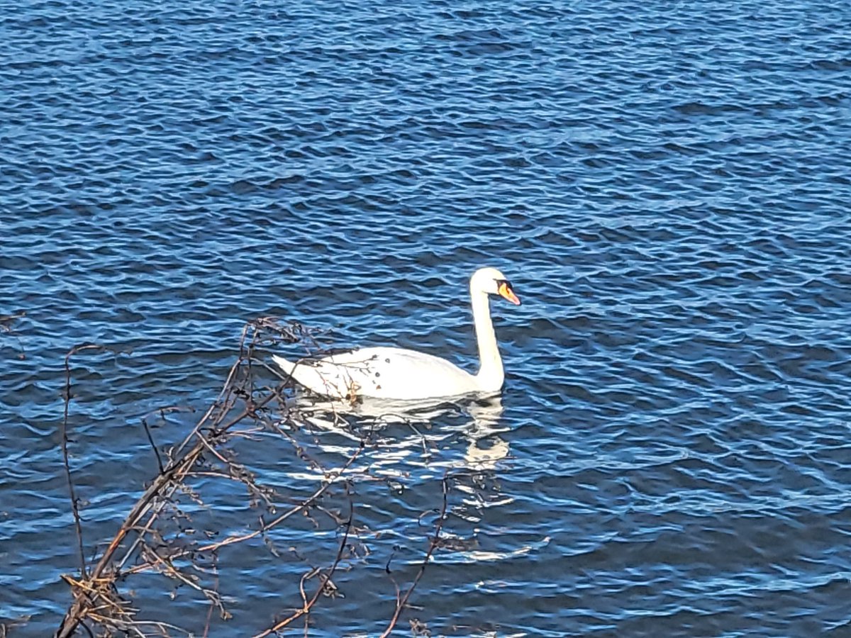 Tammy Anne Duffy tweet media