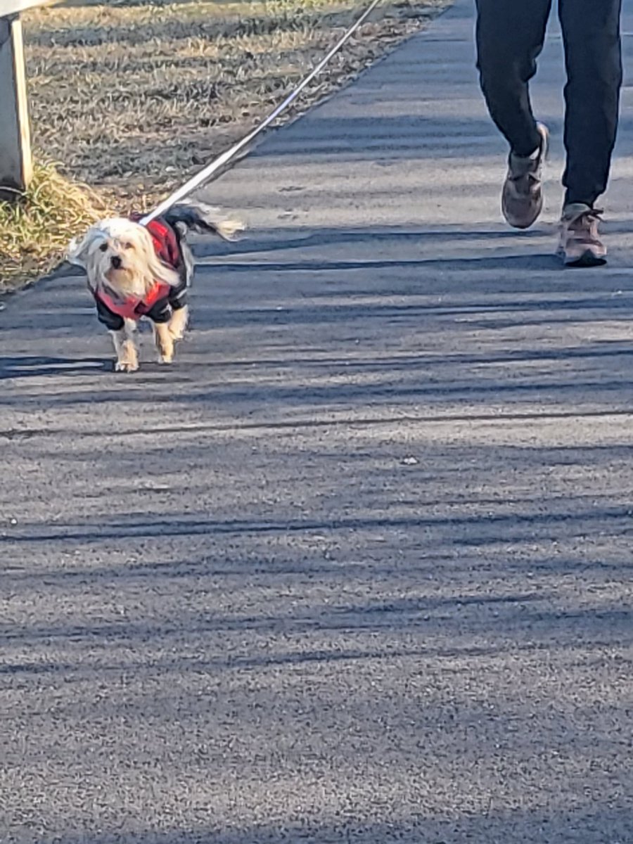 Tammy Anne Duffy tweet media