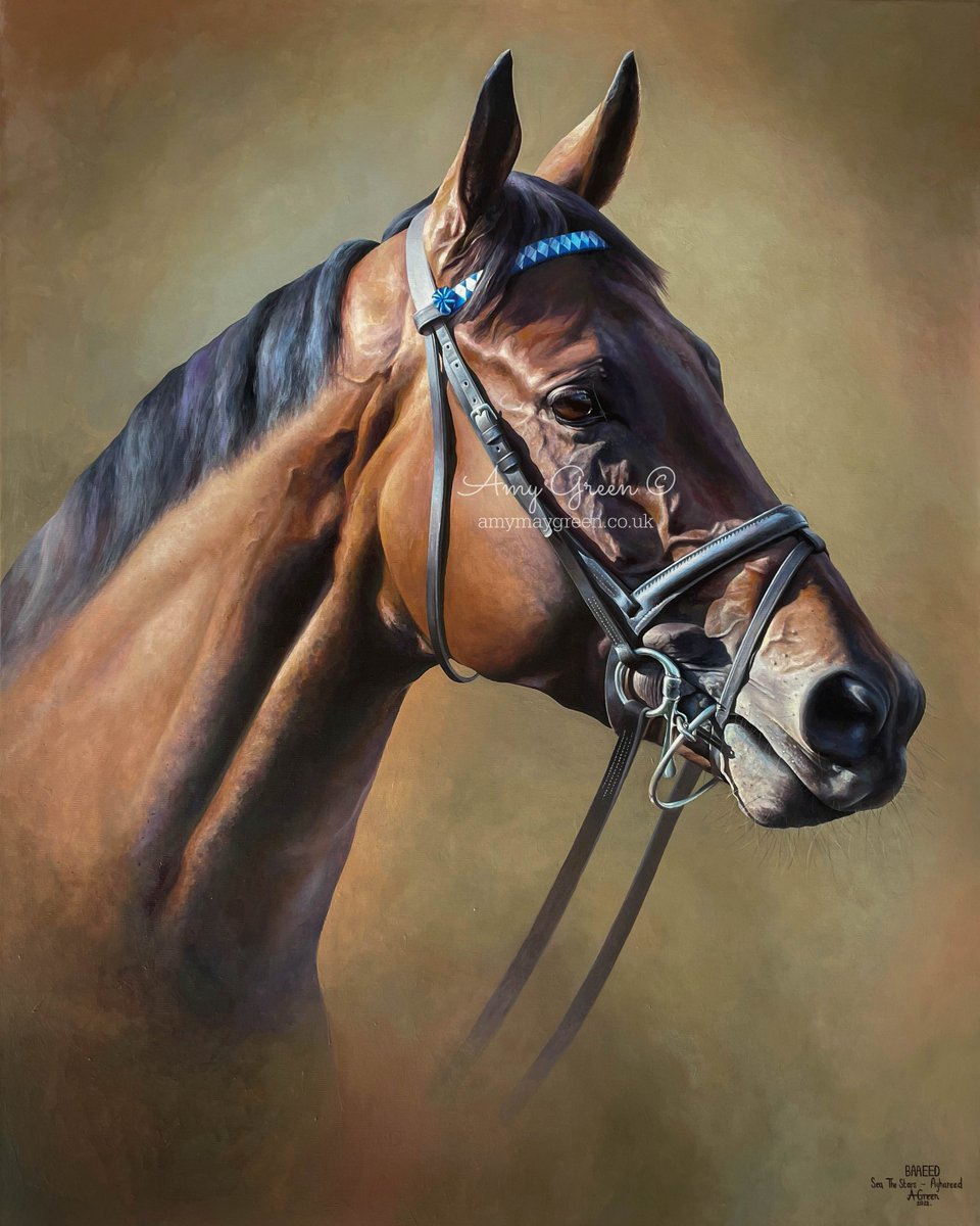 My painting of champion Baaeed, 30x24 inches acrylic on linen canvas. Painted using my own references. I have mounted prints available limited edition to 100. Please get in touch for further details!